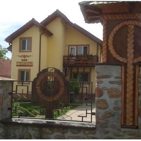 Pensiunea Pentru Tine Prietene Arcani Rum bild