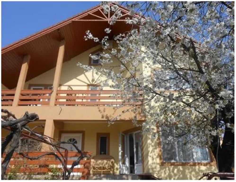 Pensiunea Pentru Tine Prietene Arcani Rum bild