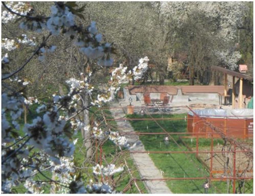 Pensiunea Pentru Tine Prietene Arcani Rum bild